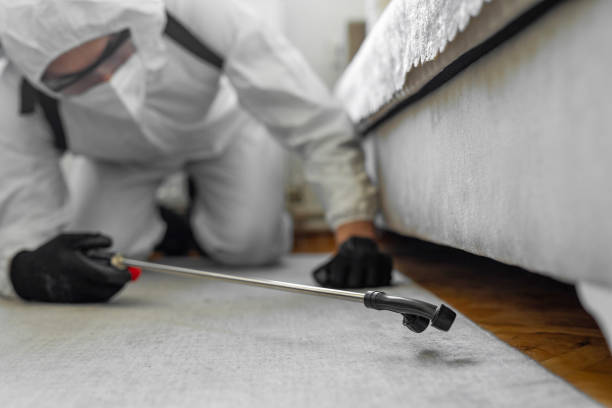 Professional Cockroach Control technician working in Laconia, NH